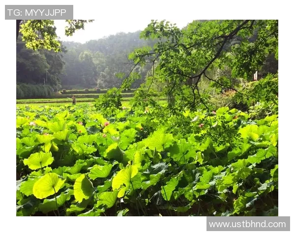 深度对话：周娜如何在足球世界中追寻梦想与自我成长